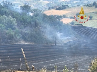 0AC421C9 CBDF 49A4 A5FD 70E280EDCB5A