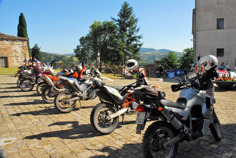 35081576 10214232521839978 2670438870255927296 n