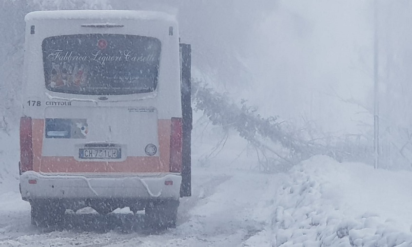 WhatsApp Image 2019 01 22 at 13.20.39