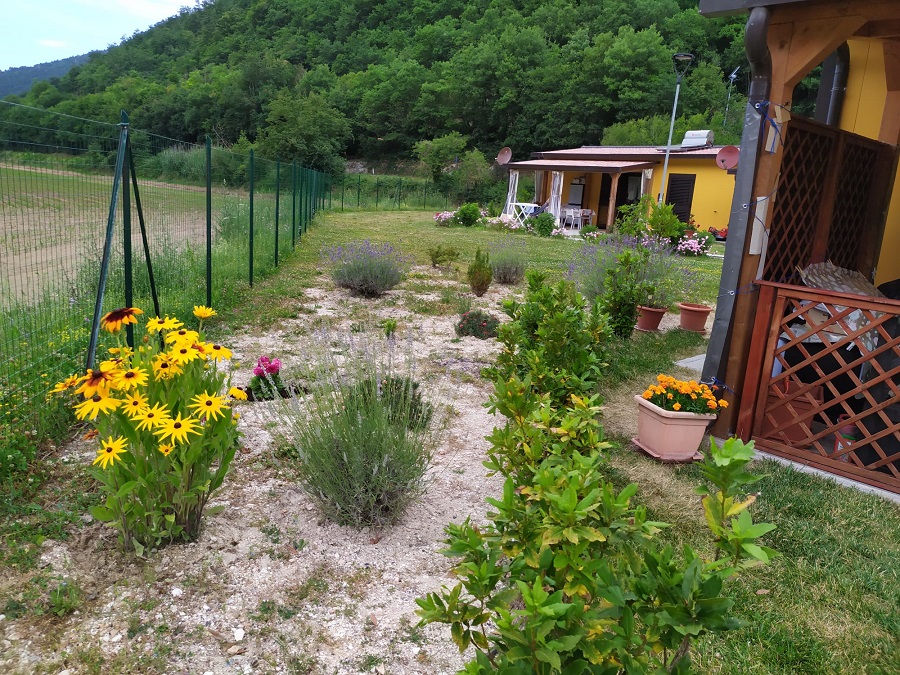 WhatsApp Image 2020 07 02 at 12.26.08