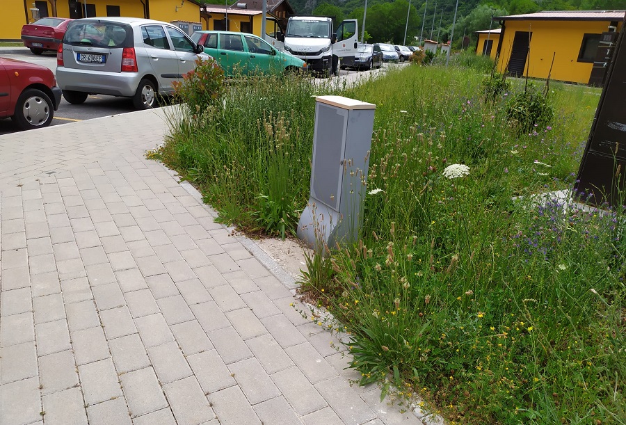 WhatsApp Image 2020 07 02 at dgbgb