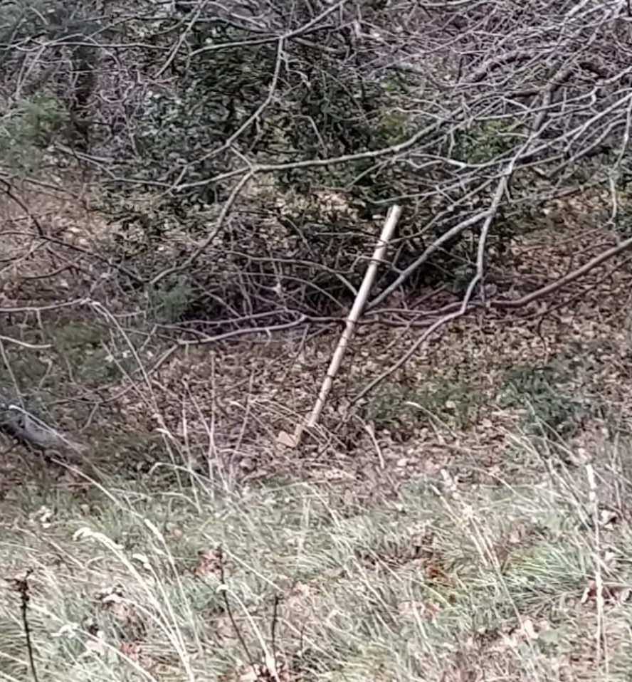 WhatsApp Image 2019 12 18 at 17.47.30 1