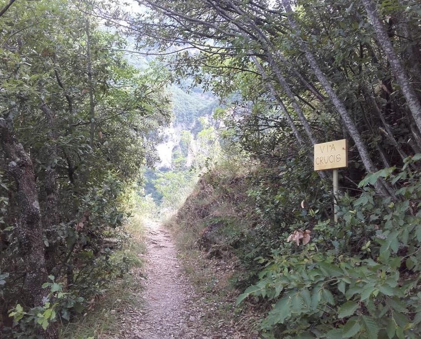 whatsApp Image 2019 12 18 at 17.47.29 2