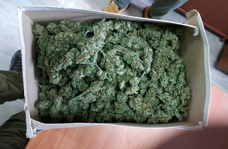 WhatsApp Image 2019 04 05 at 12.59.26