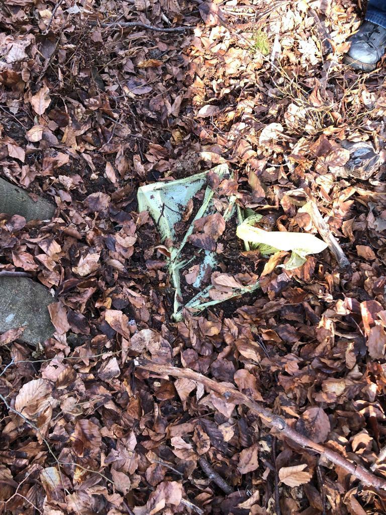 WhatsApp Image 2019 04 05 at 12.59.27 1