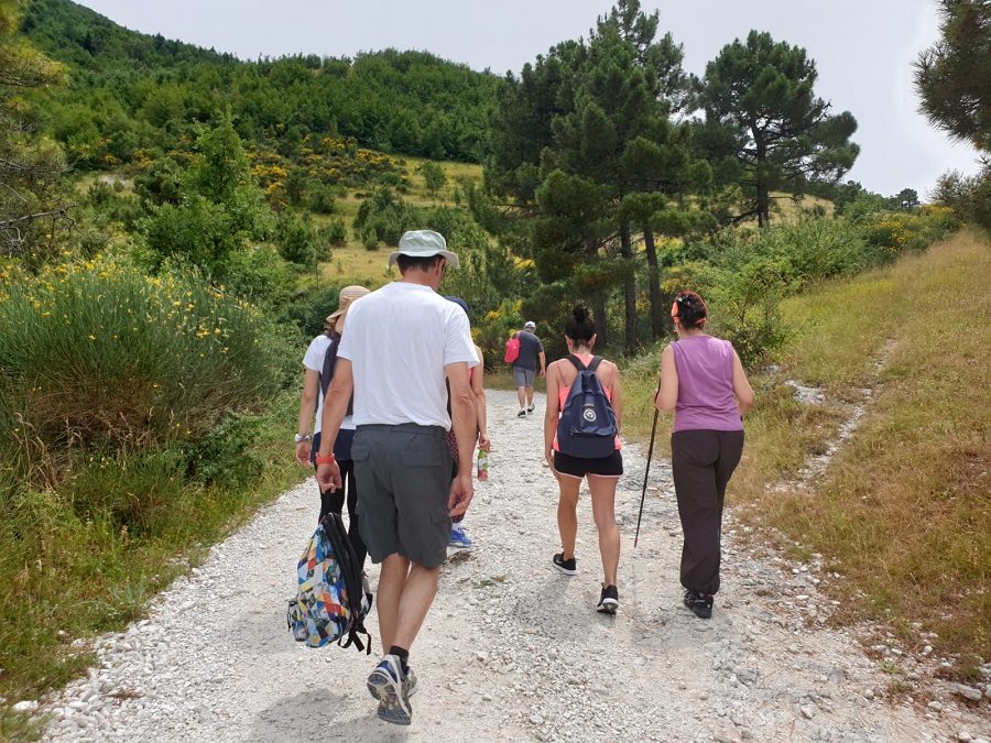 WhatsApp Image 2019 07 11 at 14.15.04