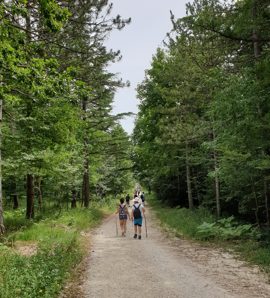 WhatsApp Image 2019 07 11 at 15.27.47