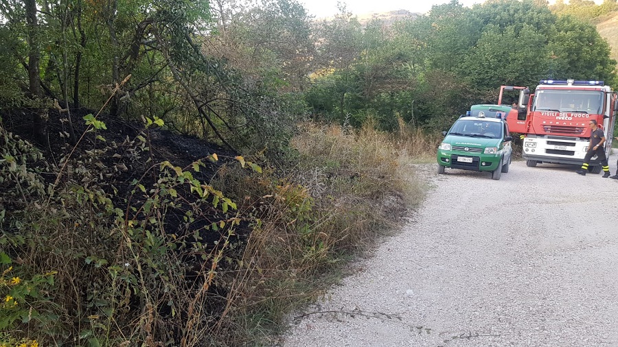 WhatsApp Image 2019 07 25 at 20.06.08