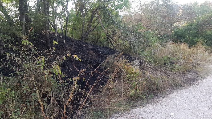 WhatsApp Image 2019 07 25 at 20.06.09