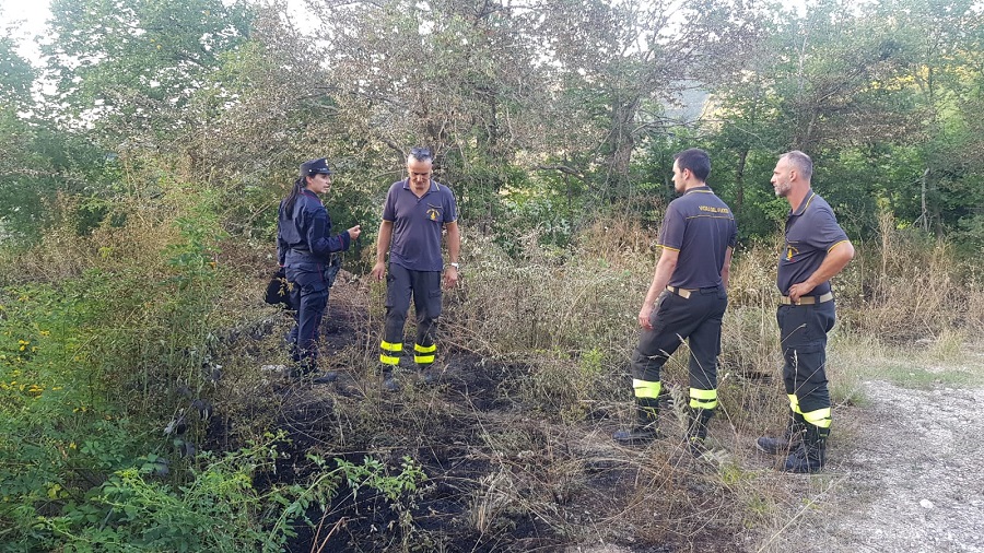 WhatsApp Image 2019 07 25 at 20.27.10