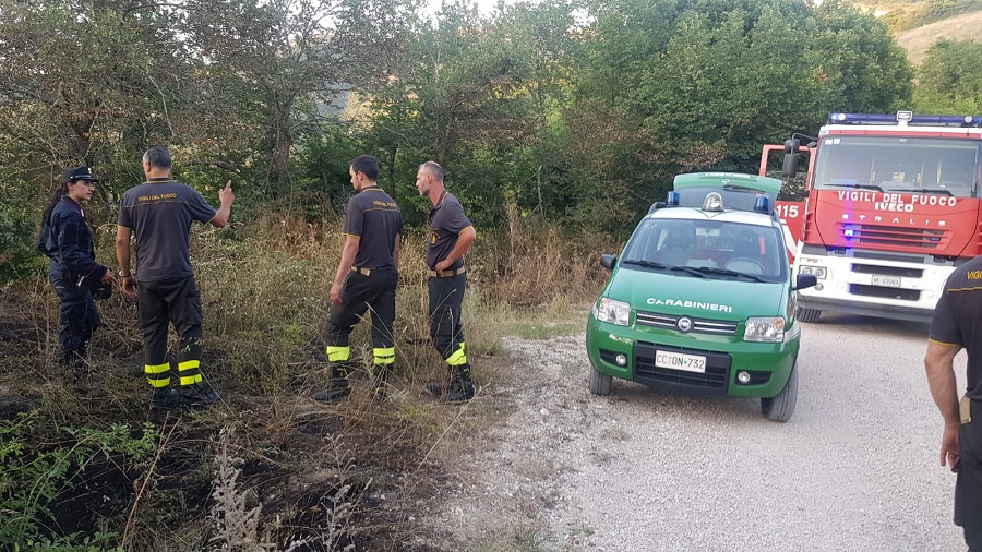 WhatsApp Image 2019 07 25 at 20.59.49