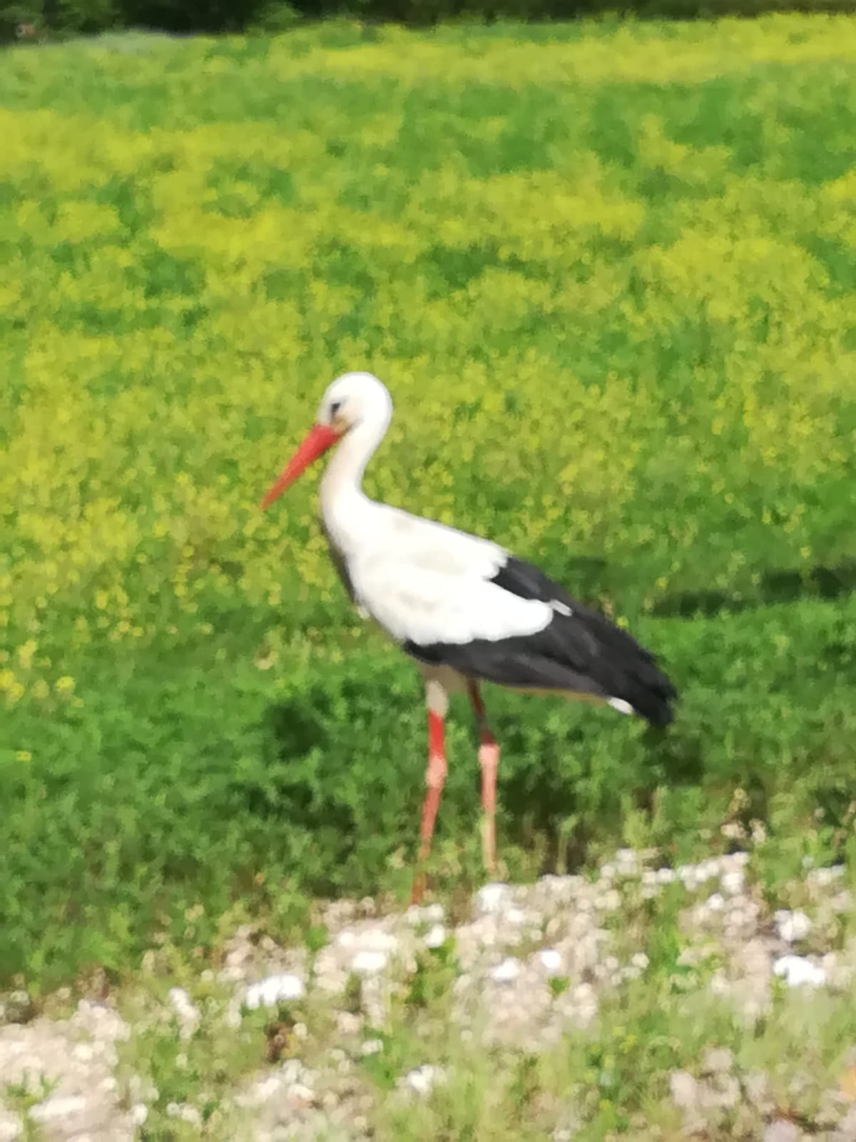 36d7465a 96cd 41b3 8cc7 6ef0a8bde1ae