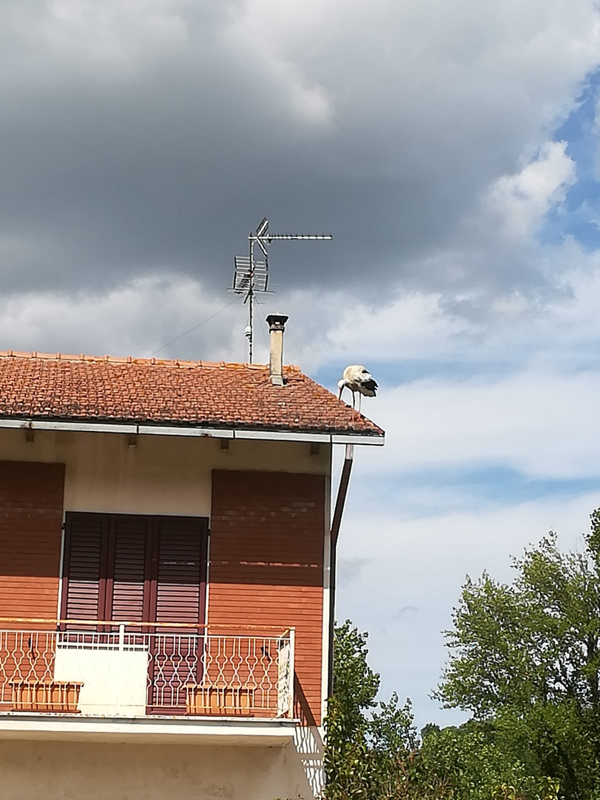 8c6534d4 7e37 430d 8434 cc70b48c3a5e