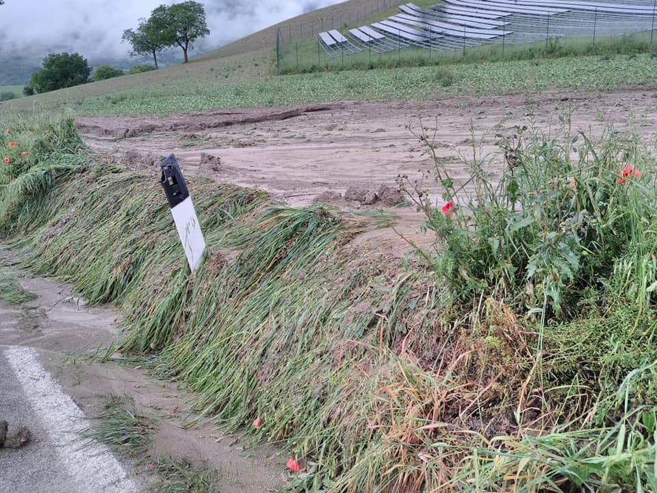 98830036 2995594097169214 5051161245546184704 n