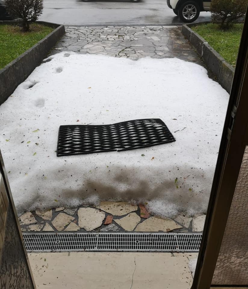 99073829 2995594037169220 6796313862158155776 n