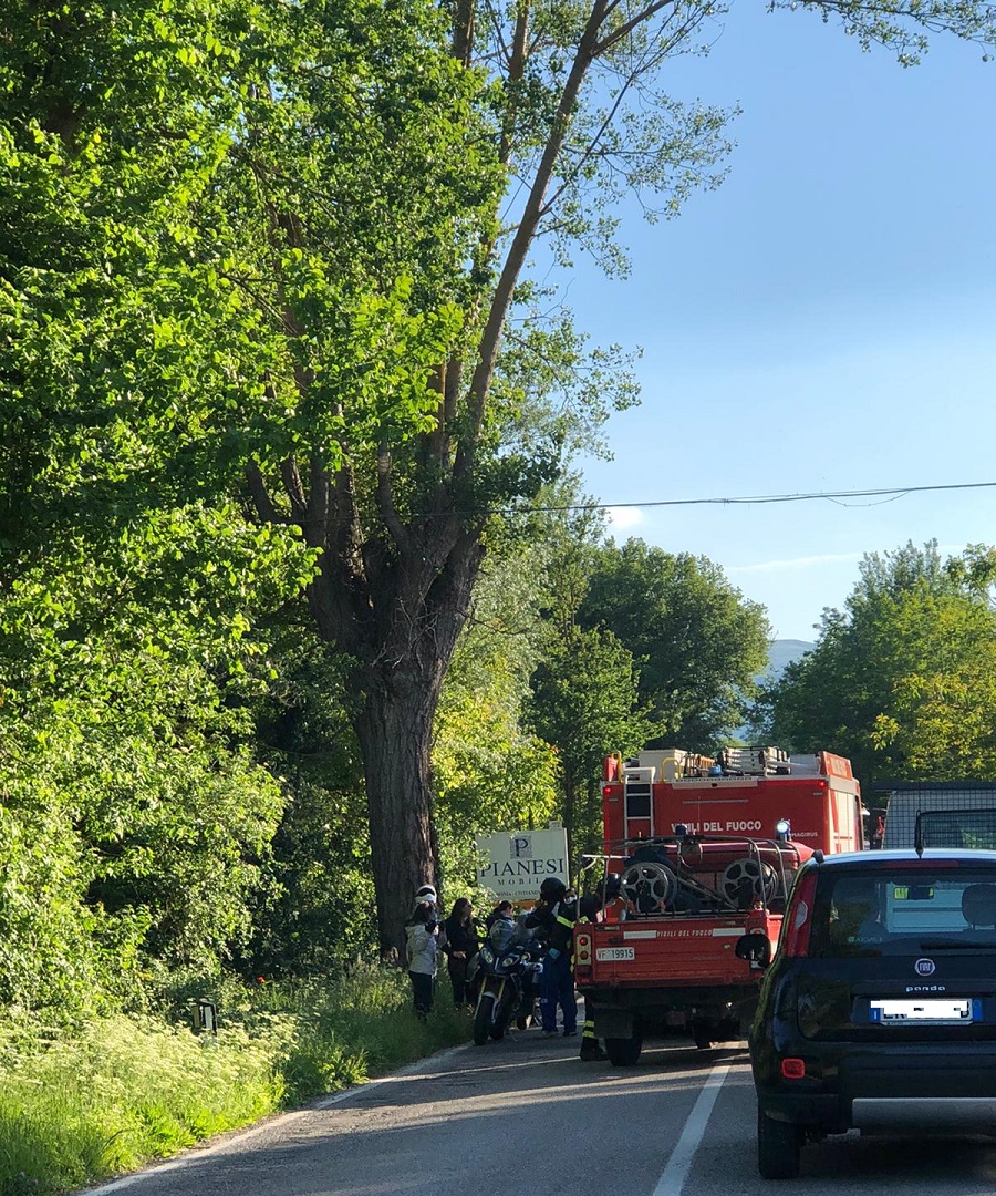 WhatsApp Image 2020 05 23 at 18.41.37 1