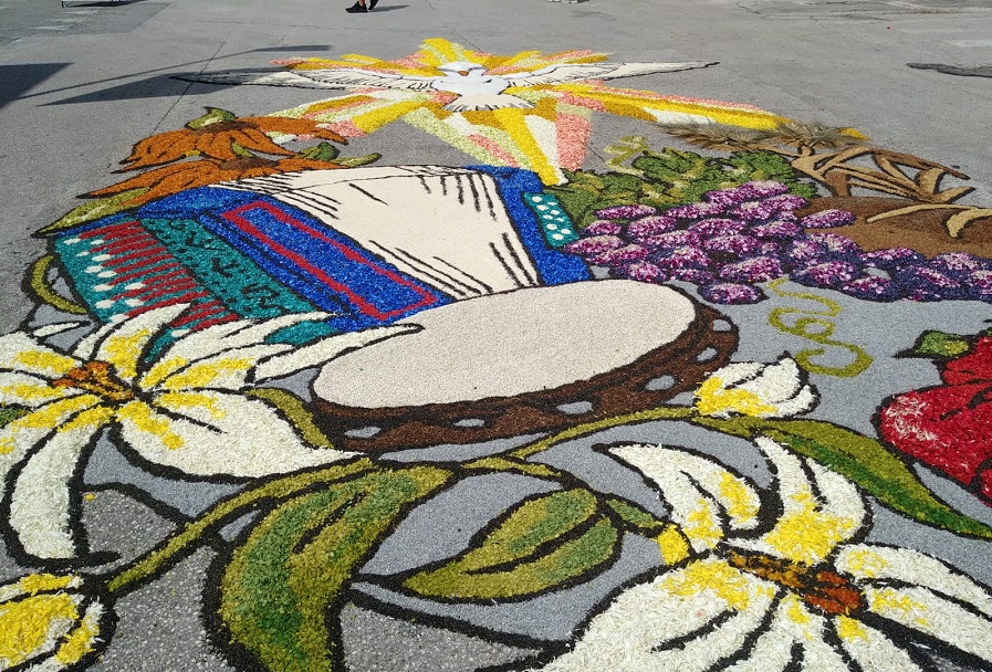 infiorata 2019 16