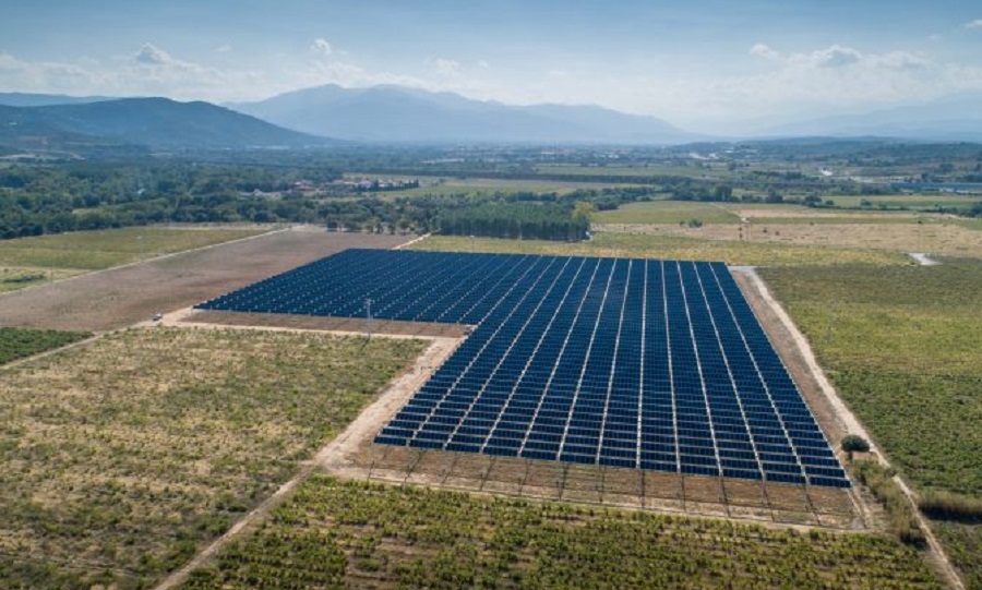 vigna fotovoltaica 3