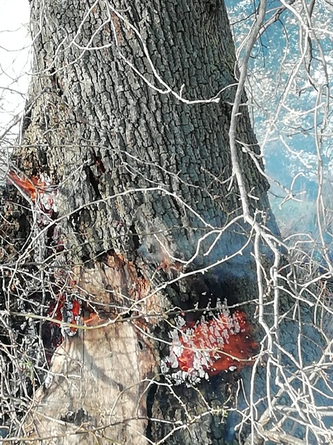 95F93137 C654 47D5 80FB 3479C22A54B6