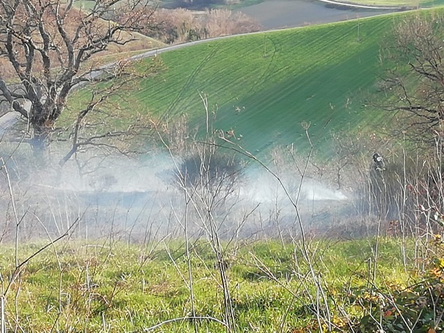 F7D675F2 2DC1 4DE5 98E7 315EB93EB087