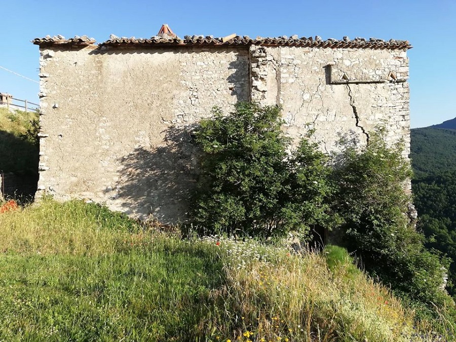 116900995 10221622117535450 7551814046709072329 o