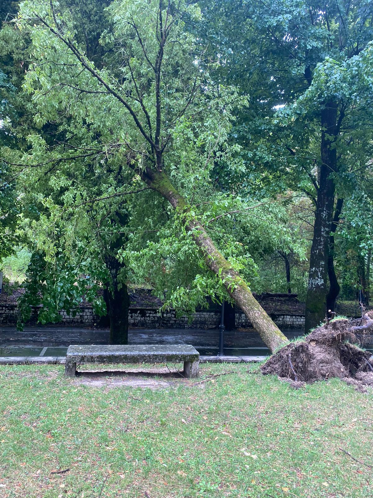 a1f888e7 ffae 420c 8b0a f4963cc475a9