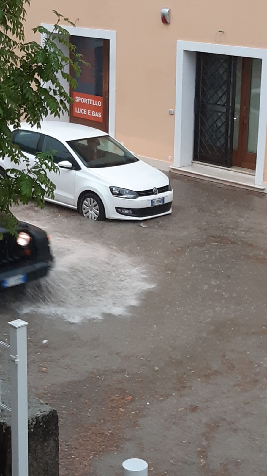 c7a1d67d 8fe1 4d6b ad8b 7d07d7409f37