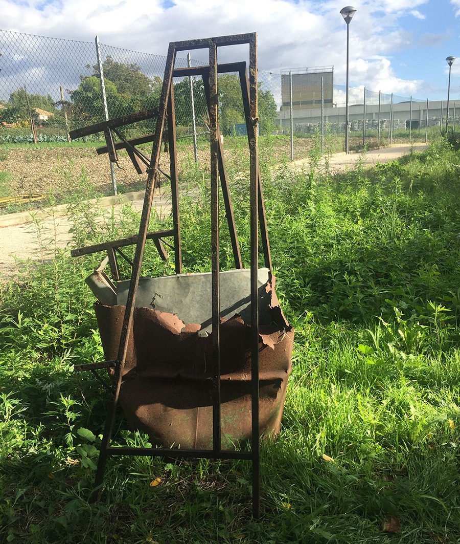 puliamo ill mondo 2020 1