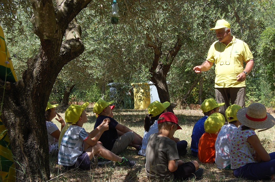 centri estivi campagna 2