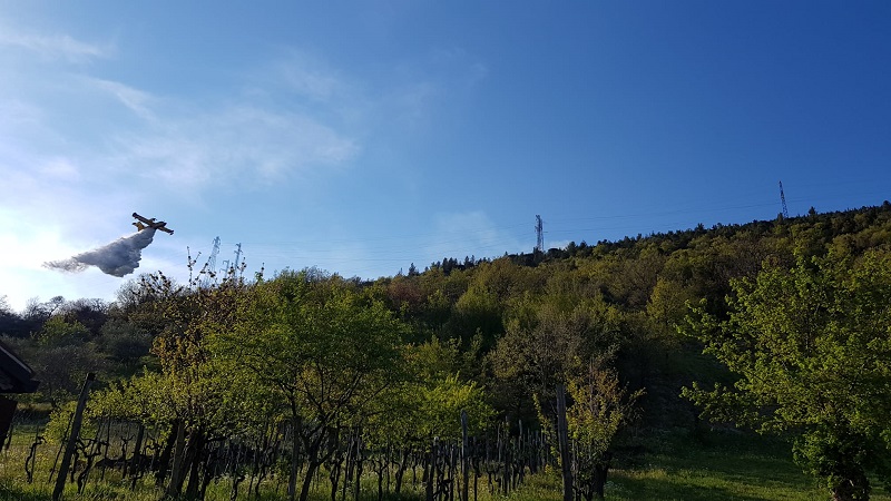 d02312a9 40a5 48df 8b9a 8c9db7278497