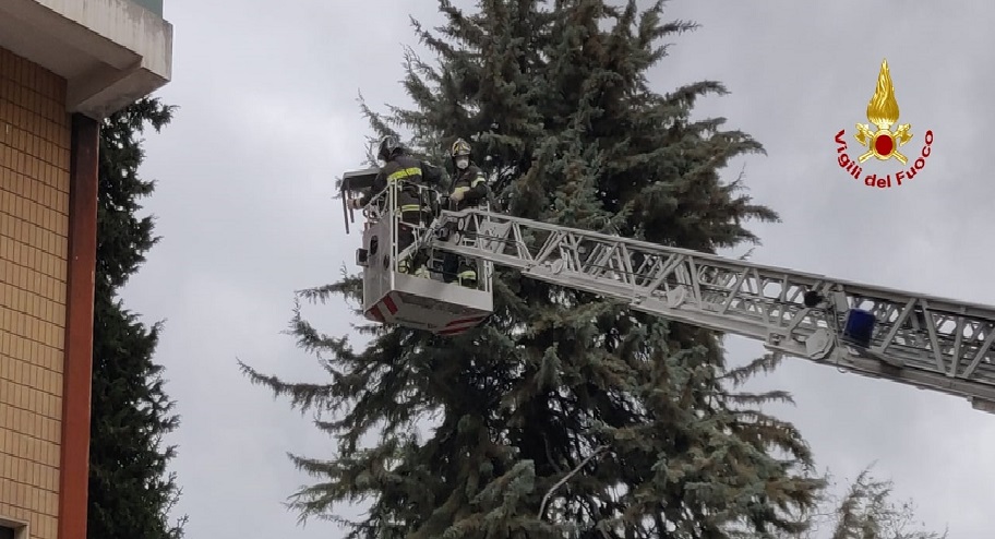 WhatsApp Image 2022 02 07 at 12.40.24 1