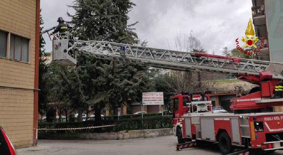 WhatsApp Image 2022 02 07 at 12.47.30