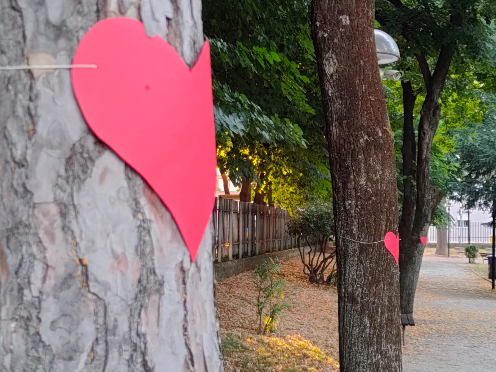 PHOTO 2021 06 22 20 32 12