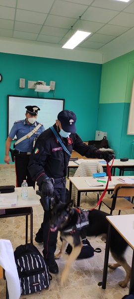 Territoriale Cinofili 1