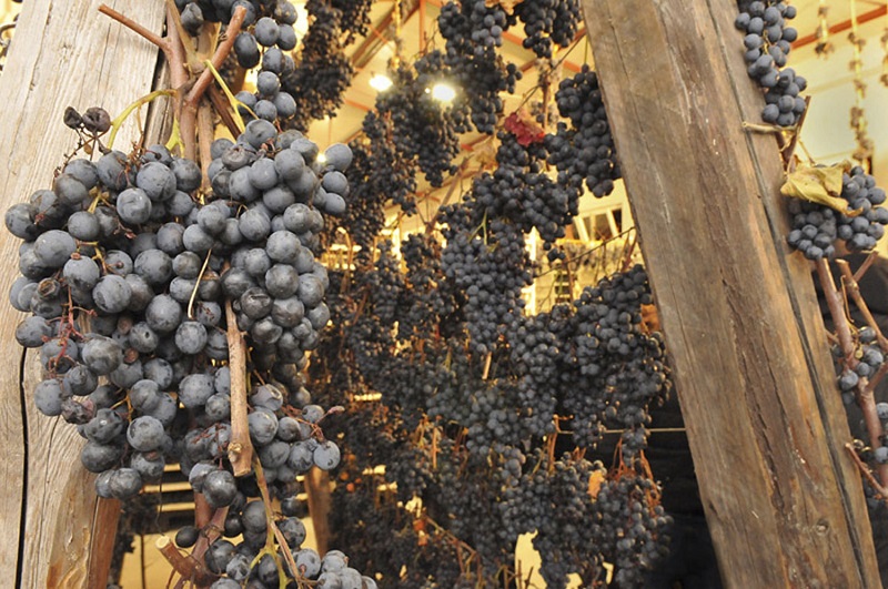 Appassimento uve appese2