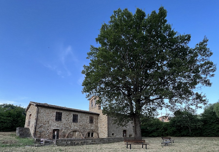 Area Verde Fonte San Venanzio