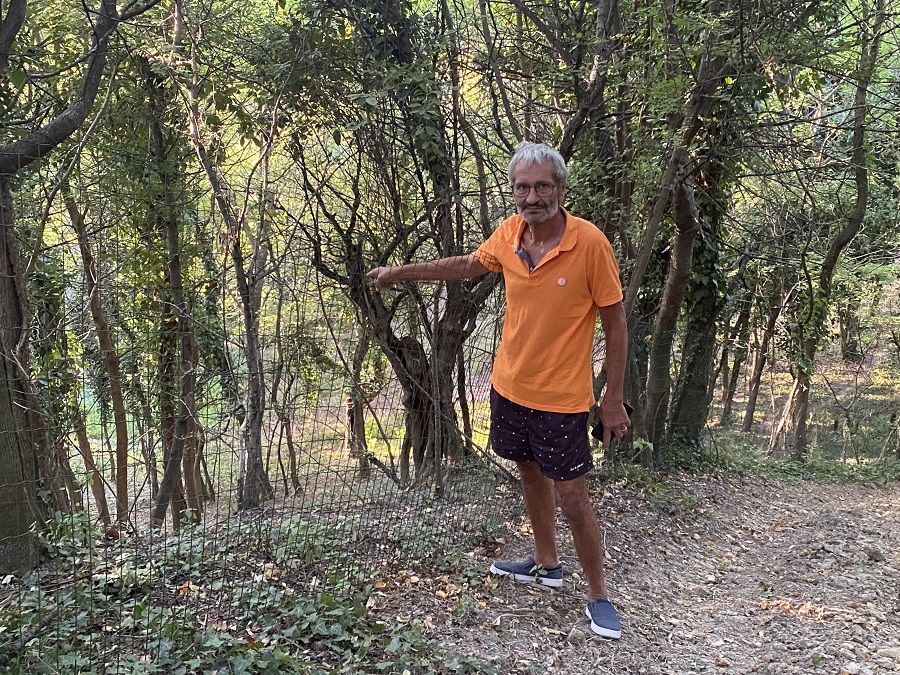 Francesco Cippitelli