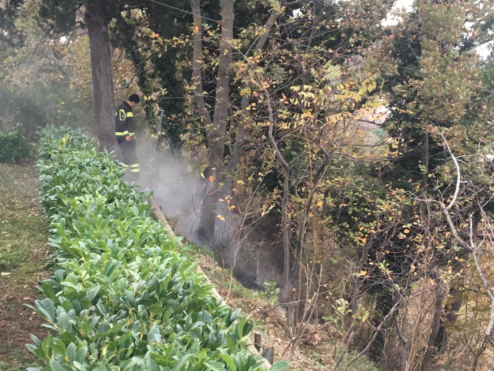 3278CE5A 69F1 4CD9 972E 1382B3A4D794