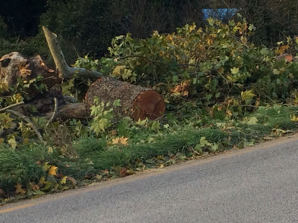 43D18BAF 3BB4 4820 BA8E 9411054AAF8F