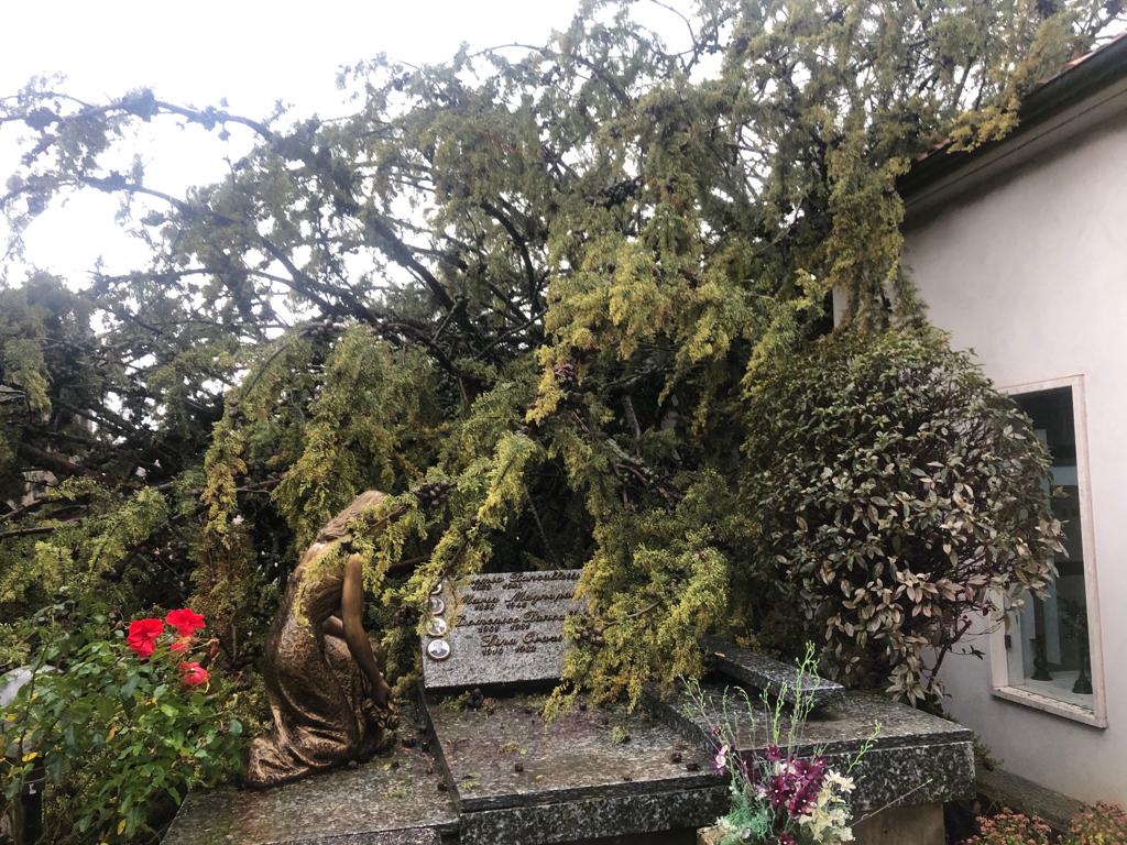 7689ae49 833b 46d4 b162 2b154fbc0c1b