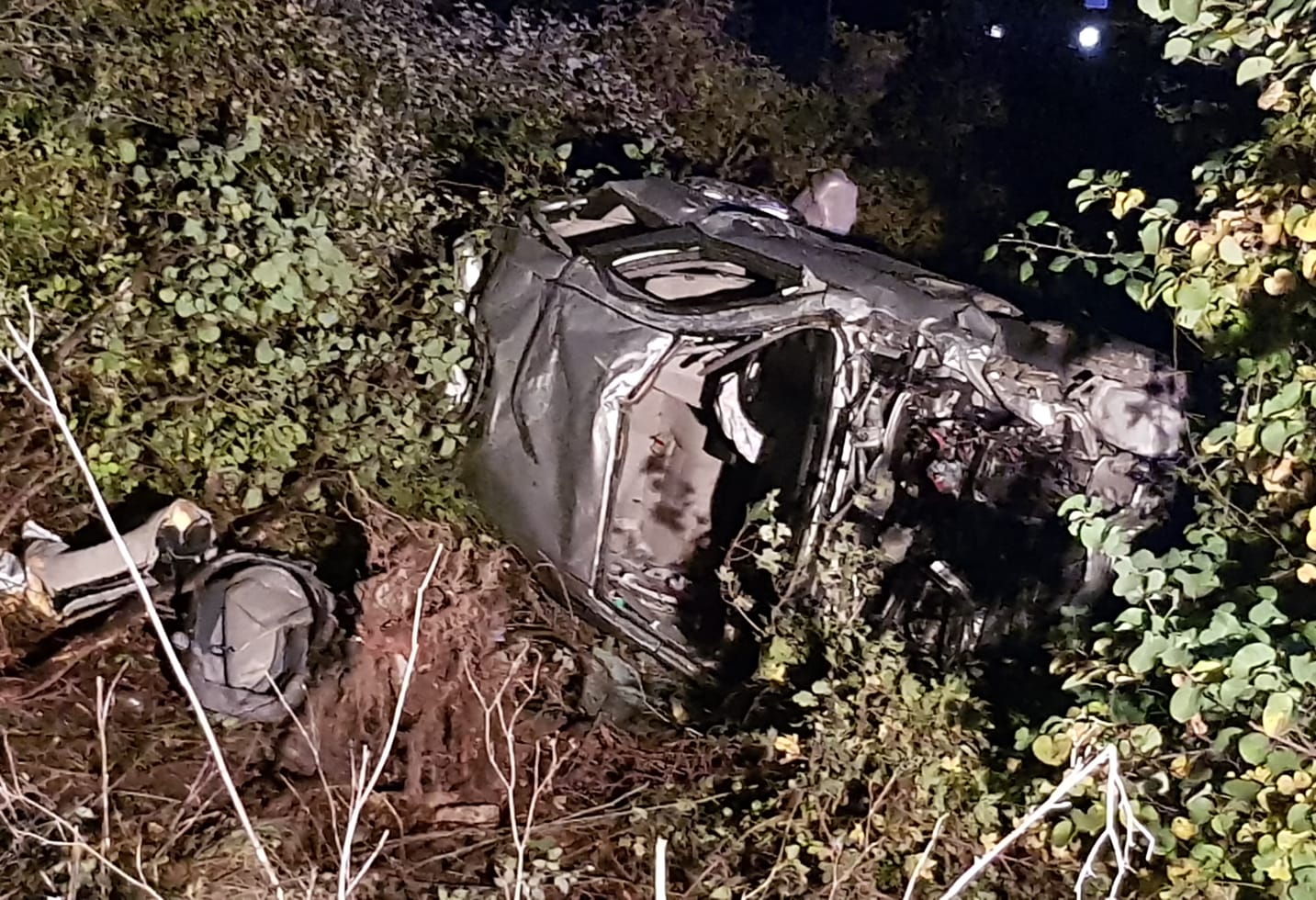 950419A1 8557 47E8 900A 90BB53EEA229