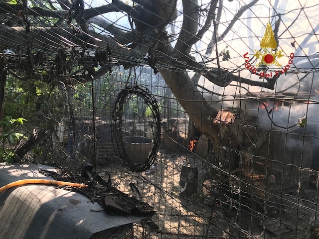 A5926957 6594 4AC9 AE2F 7D10E16CE55F