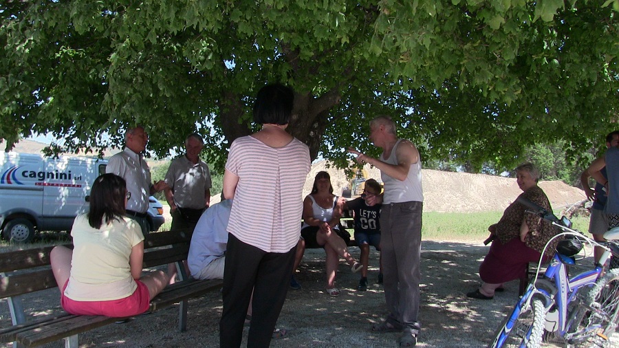 ALBERO DELLA DISCORDIA 2