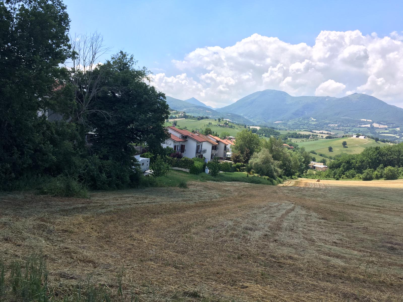 Area asilo don Marco 1