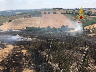 CABDF2EA E8B6 4F3D 84FC 8CDC1B650BA7