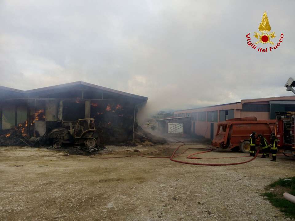 IMG 20160811 WA0002wtmk