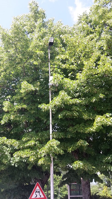 IMG 20180607 WA0012 1