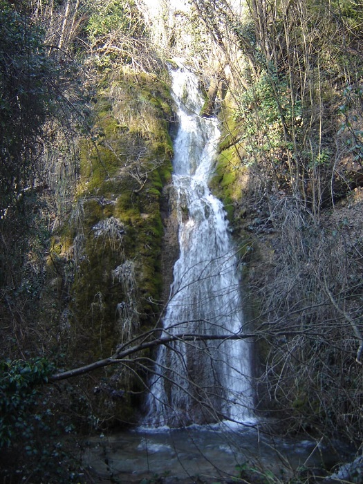 IMG 20180717 WA0000 1