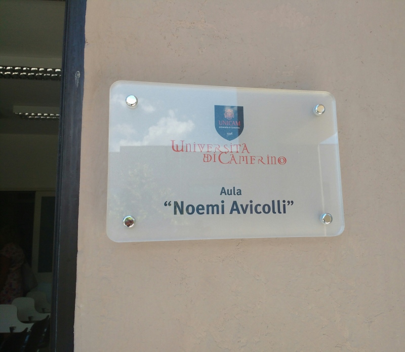 IMG 20170713 154028 800x695