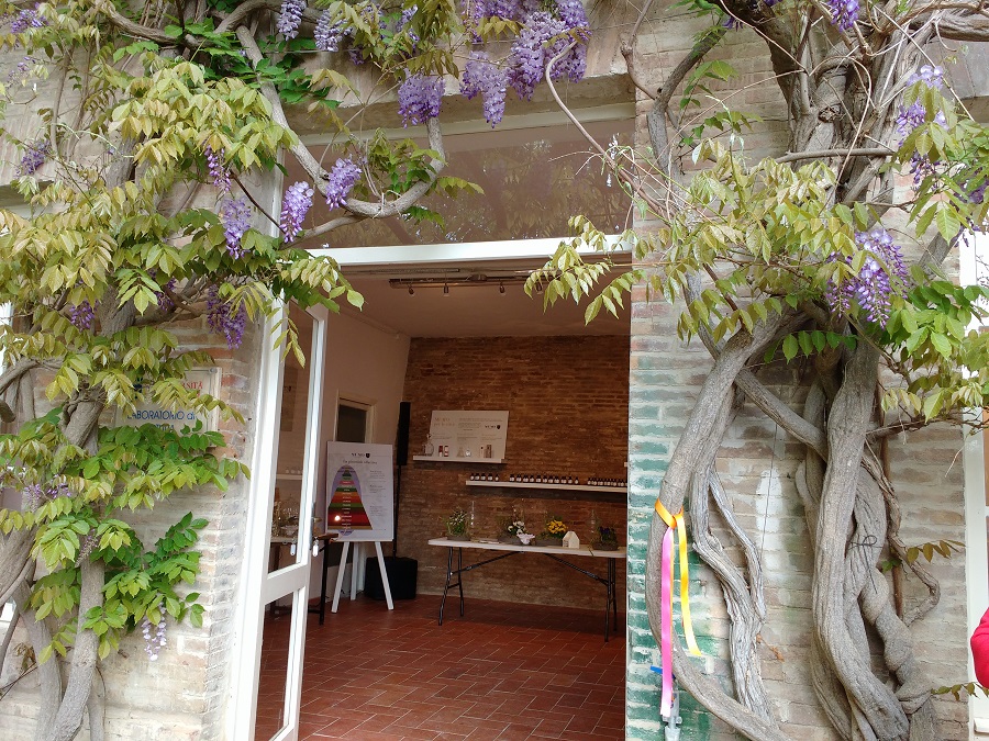 IMG 20180428 161609536